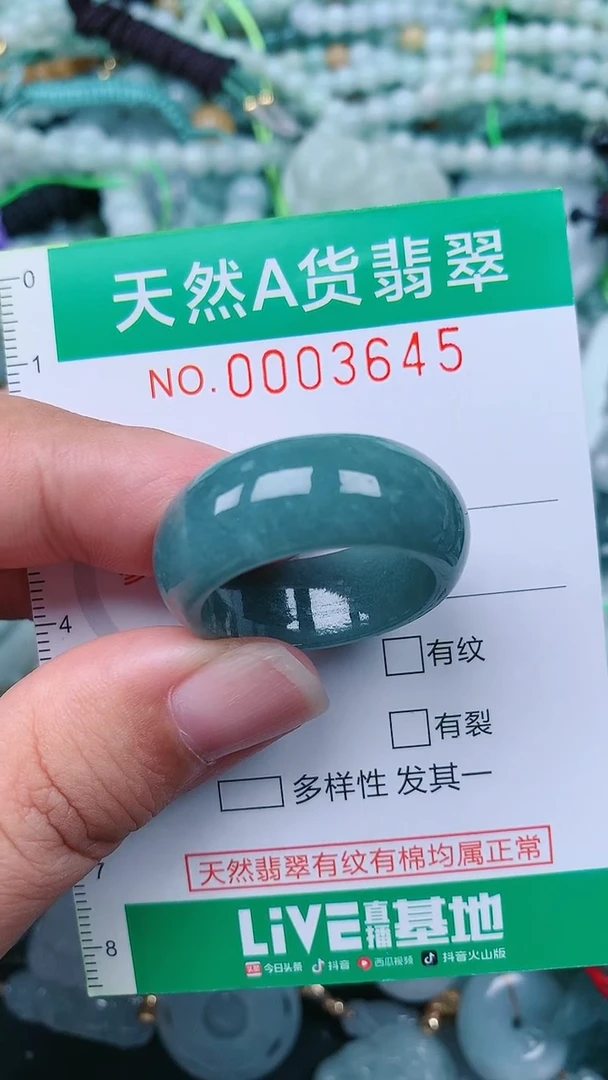 颈饰未镶嵌翡翠.0003645