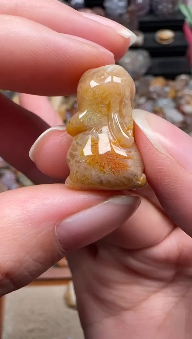 颈饰未镶嵌硅化珊瑚（珊瑚玉）690