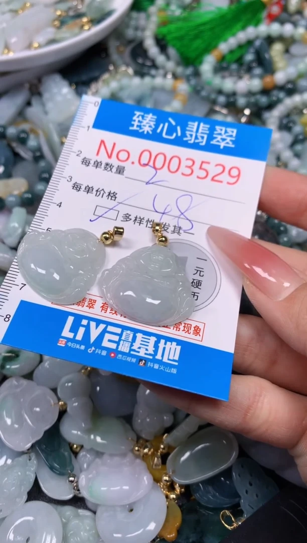 【闪购商品】翡翠颈饰未镶嵌含绳0003529