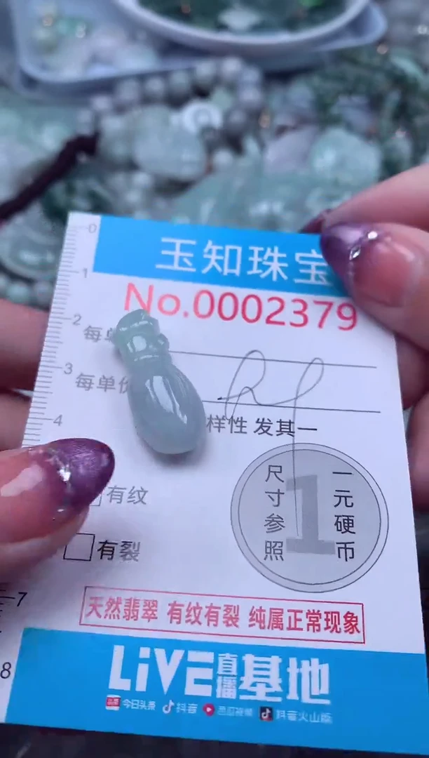 翡翠未镶嵌吊坠(不含链)2379