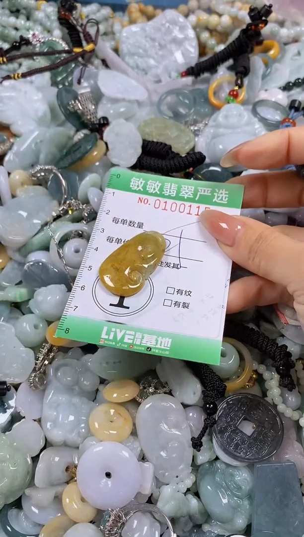 【闪购商品】翡翠颈饰未镶嵌闪购0100115