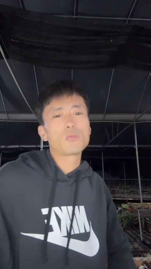 焦***儿实生芳香丸9.99