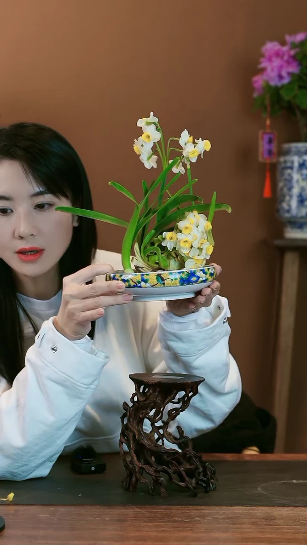 【闪购商品】盆景雕刻水仙