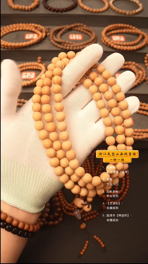 吊坠五线菩提A****oq脖挂