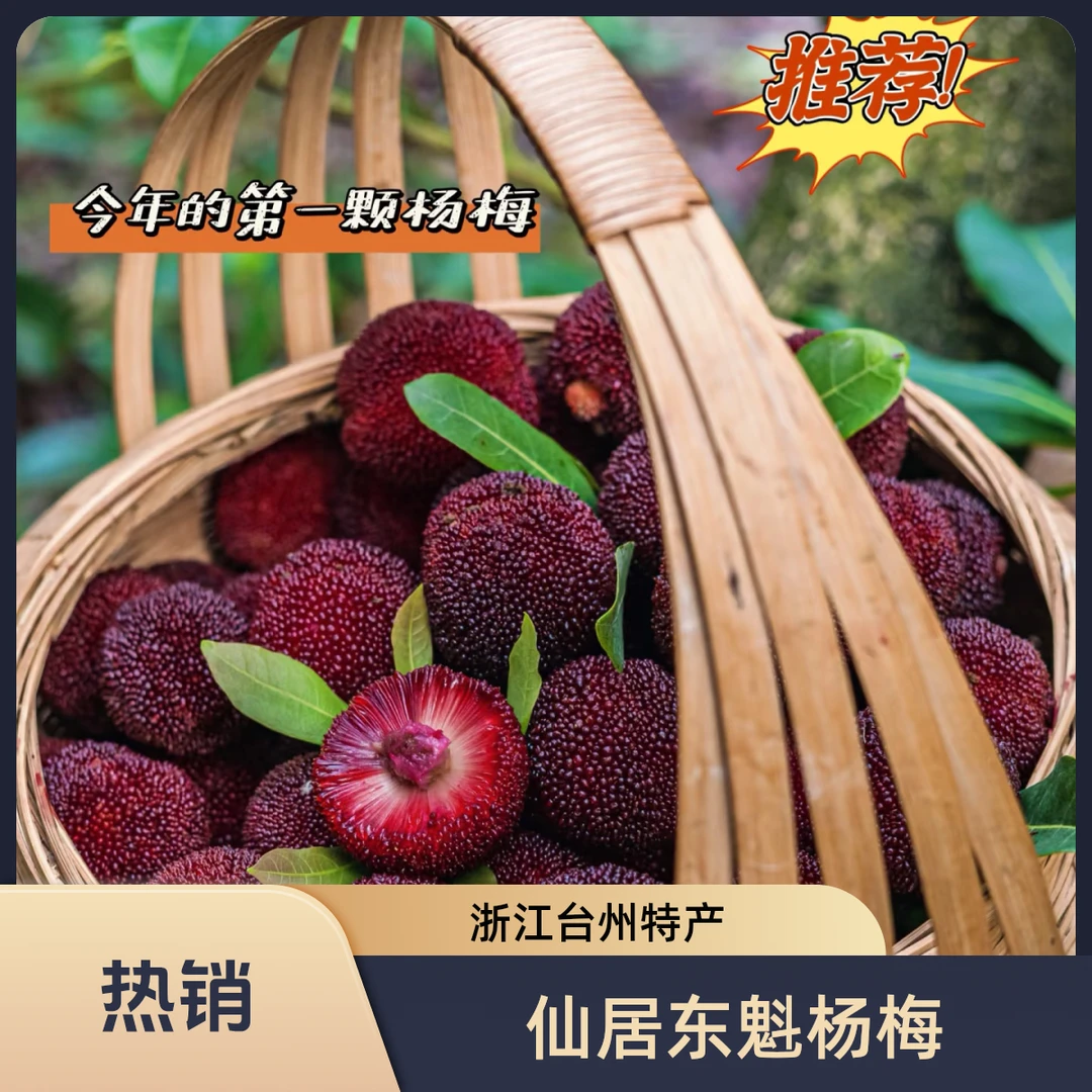 【12A 比乒乓球大!买一箱送一箱】正宗仙居东魁高山杨梅现采摘新鲜