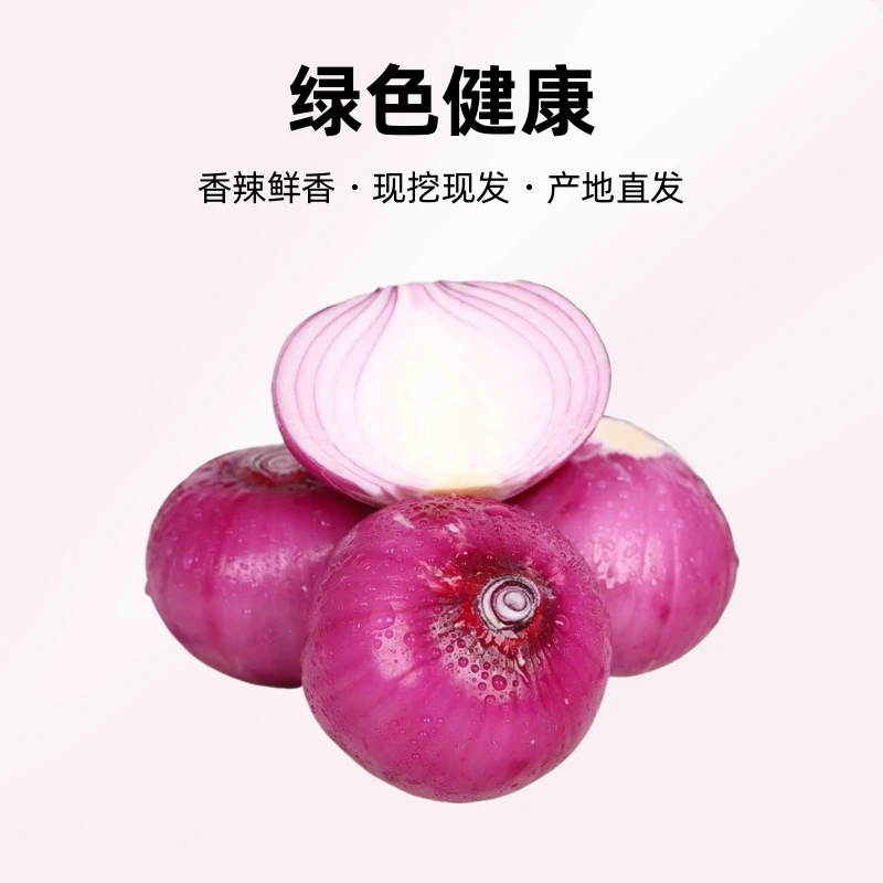【现挖现发】超新鲜水果洋葱 5斤装 农家自种 产地直发