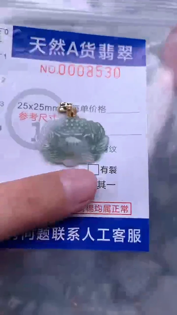 翡翠未镶嵌吊坠(不含链)1