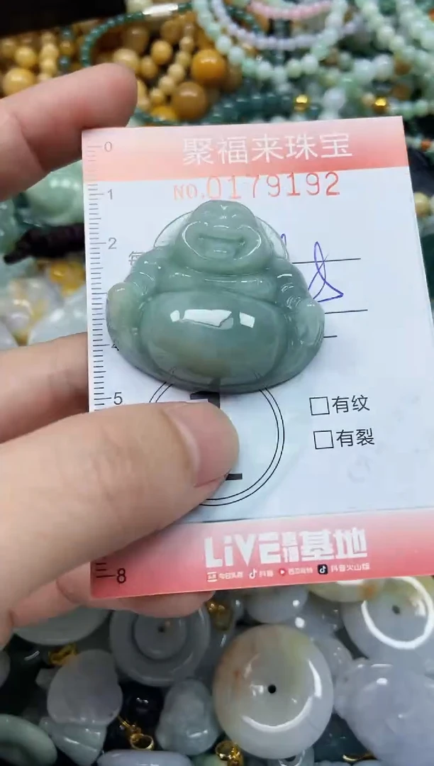 翡翠未镶嵌颈饰闪购0179192