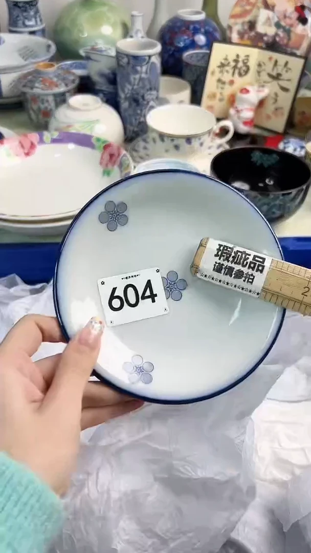 【闪购商品】瓷片604............