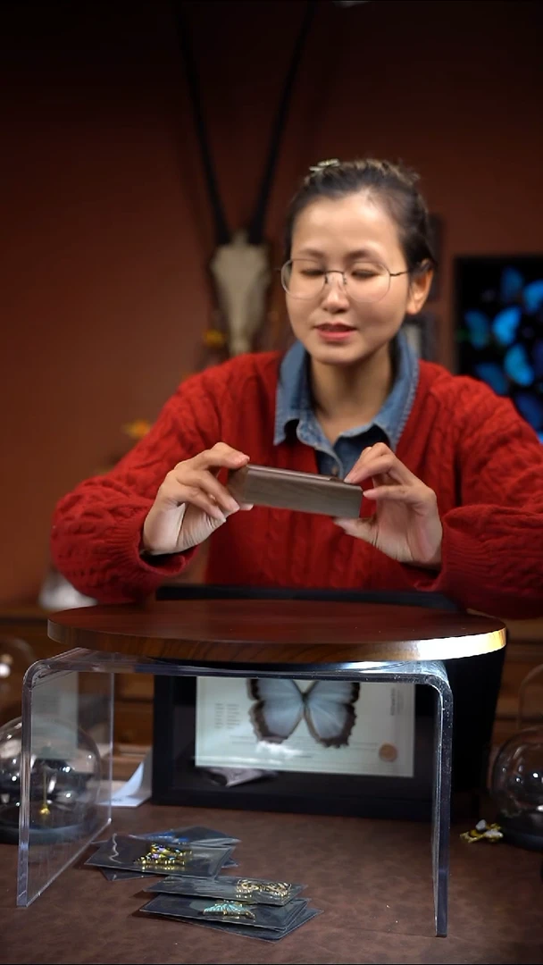 N689血漪蛱蝶木质冰箱贴