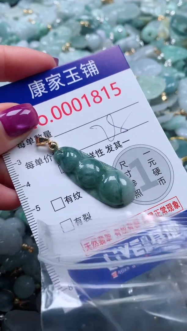 颈饰未镶嵌翡翠1815
