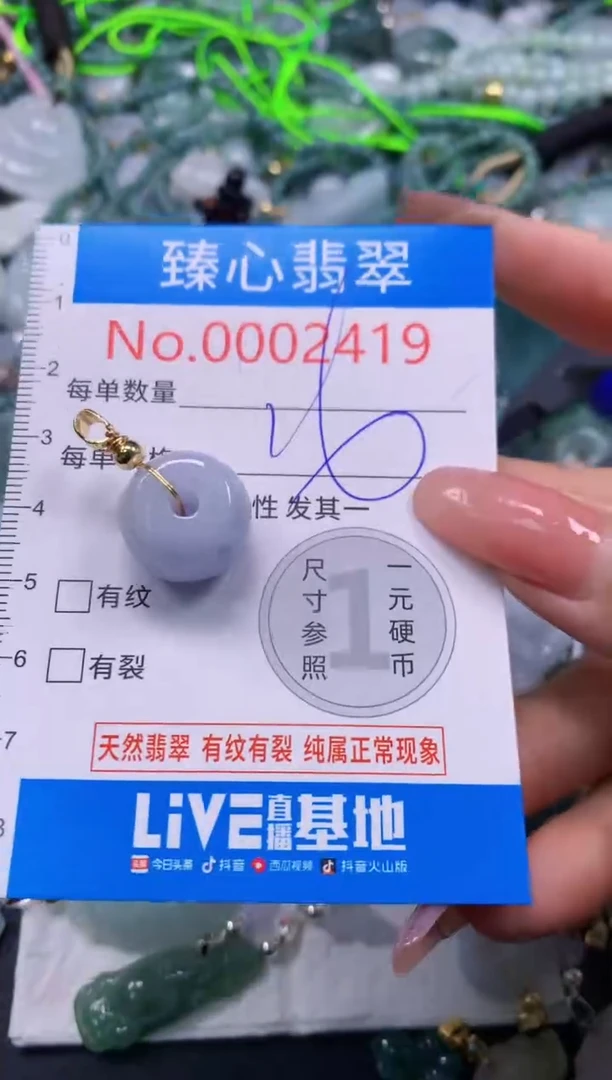 翡翠未镶嵌颈饰2419