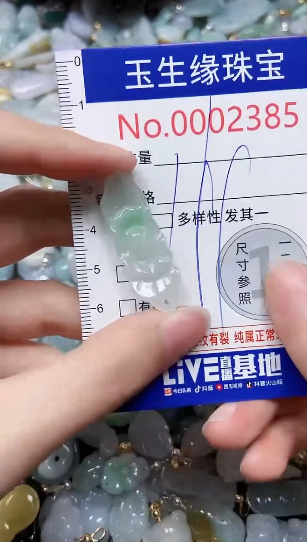 【闪购商品】翡翠颈饰未镶嵌闪购00002385