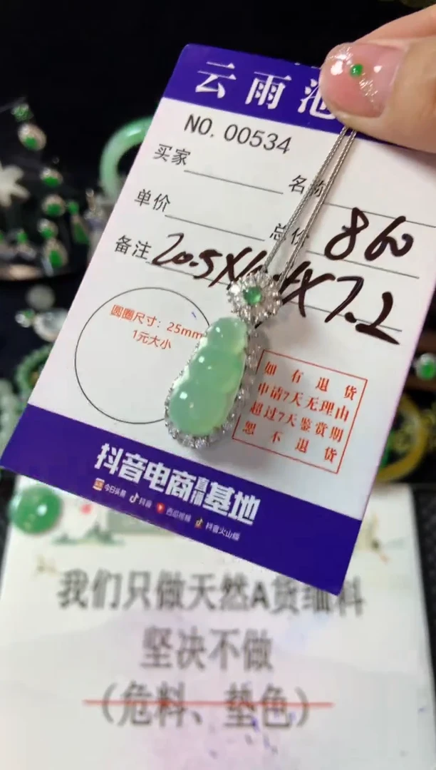 【闪购商品】翡翠颈饰银S925镶嵌翡翠