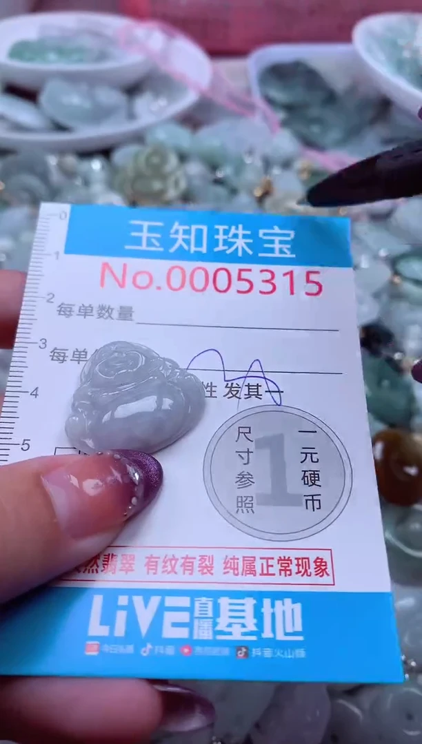 翡翠未镶嵌吊坠(不含链)5315