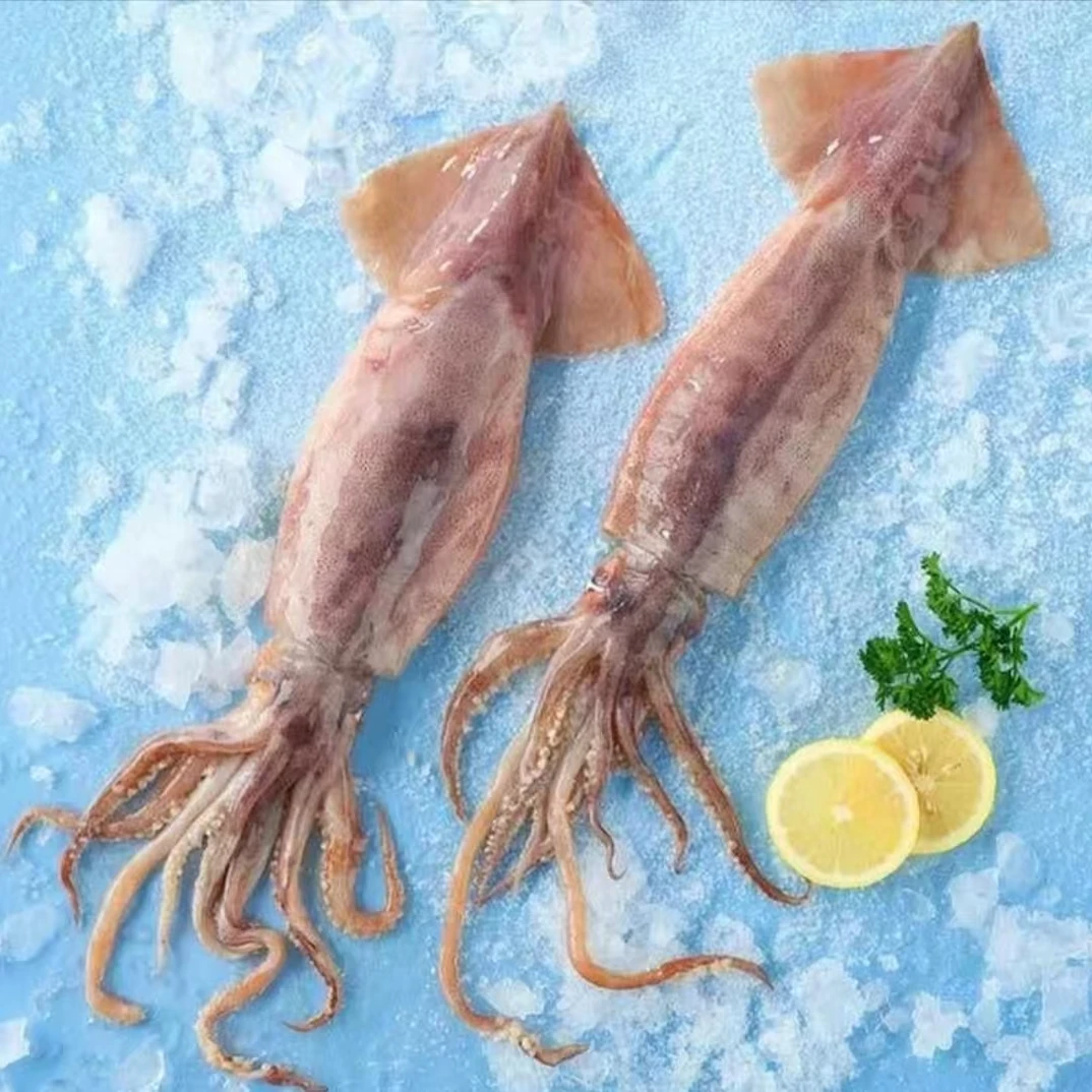 新鲜海捕大鱿鱼 新鲜速冻 单挑锁鲜 300-500克/一条