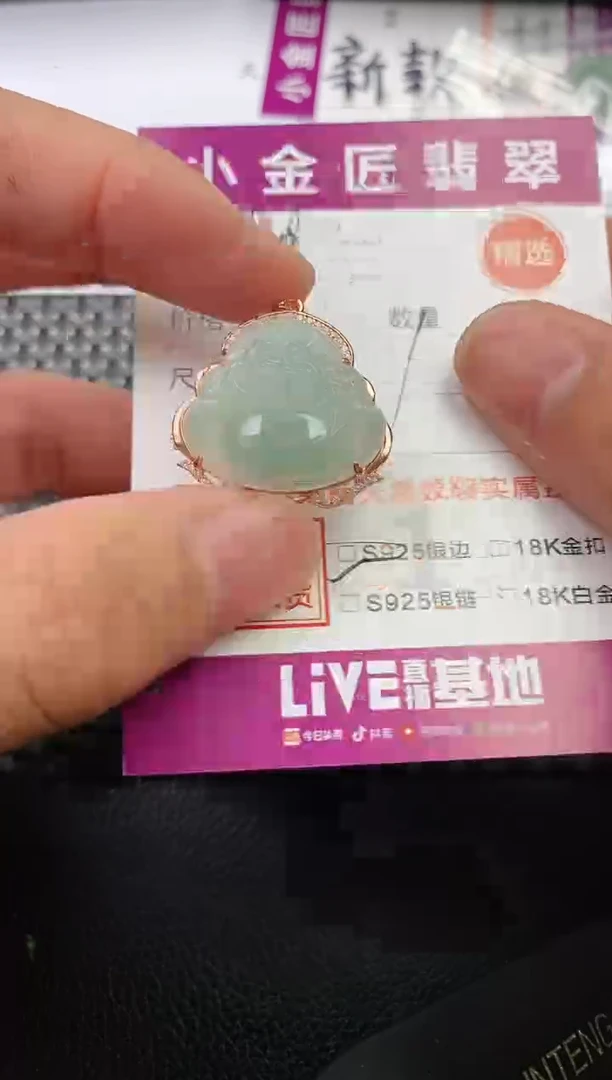 翡翠银S925镶嵌颈饰·
