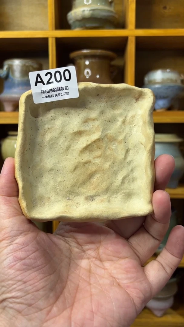 200【多肉花盆多肉盆】
