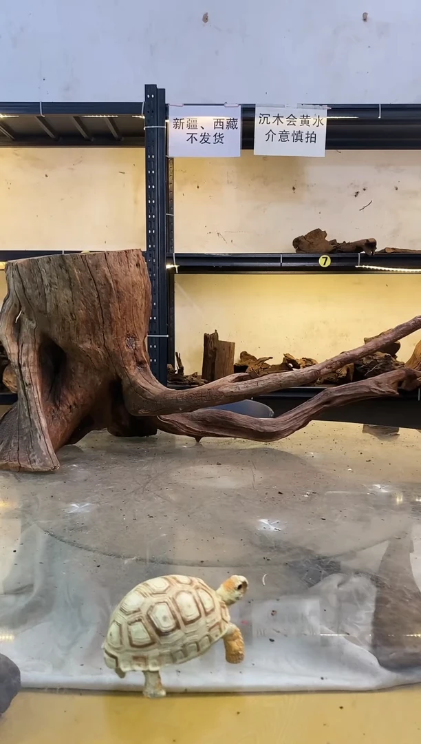 【闪购商品】柚木木艺鱼缸造景素材424