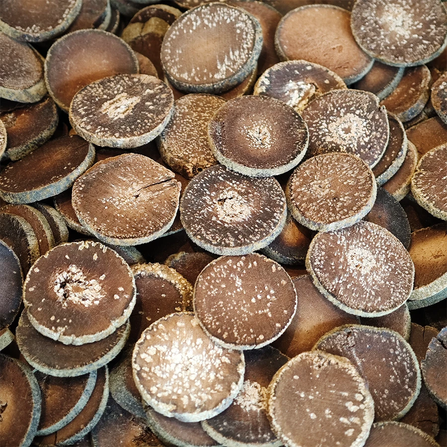 【橘贡堂 陈年胎果片】2015年正宗化州橘红正毛靓胎果片送礼佳选