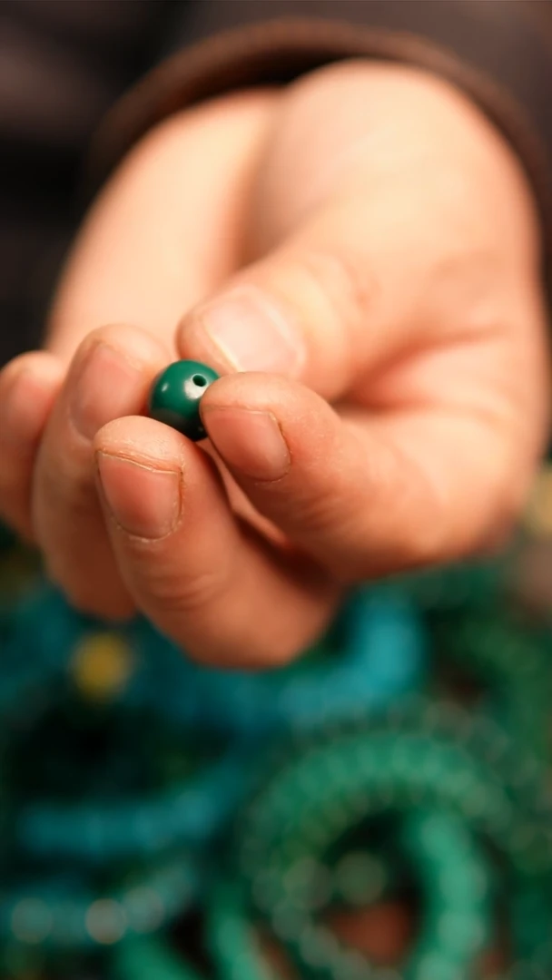 无无实验室培育松