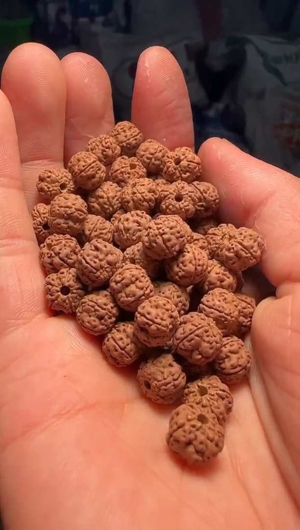 手串金刚菩提非全品老树梅花散籽9-10mm一份一百颗