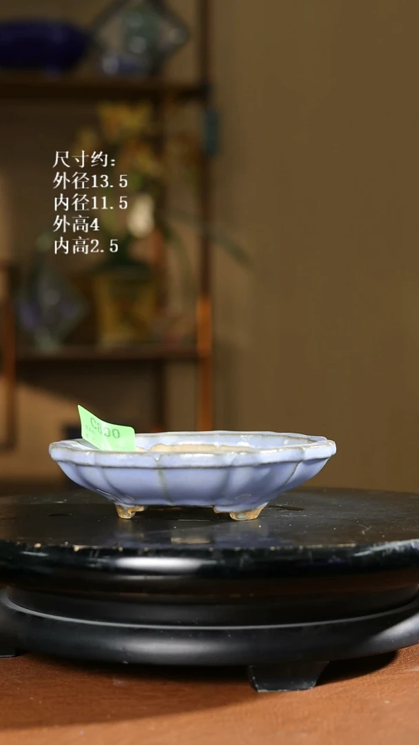 800     5寸莲花盆  有硬口裂