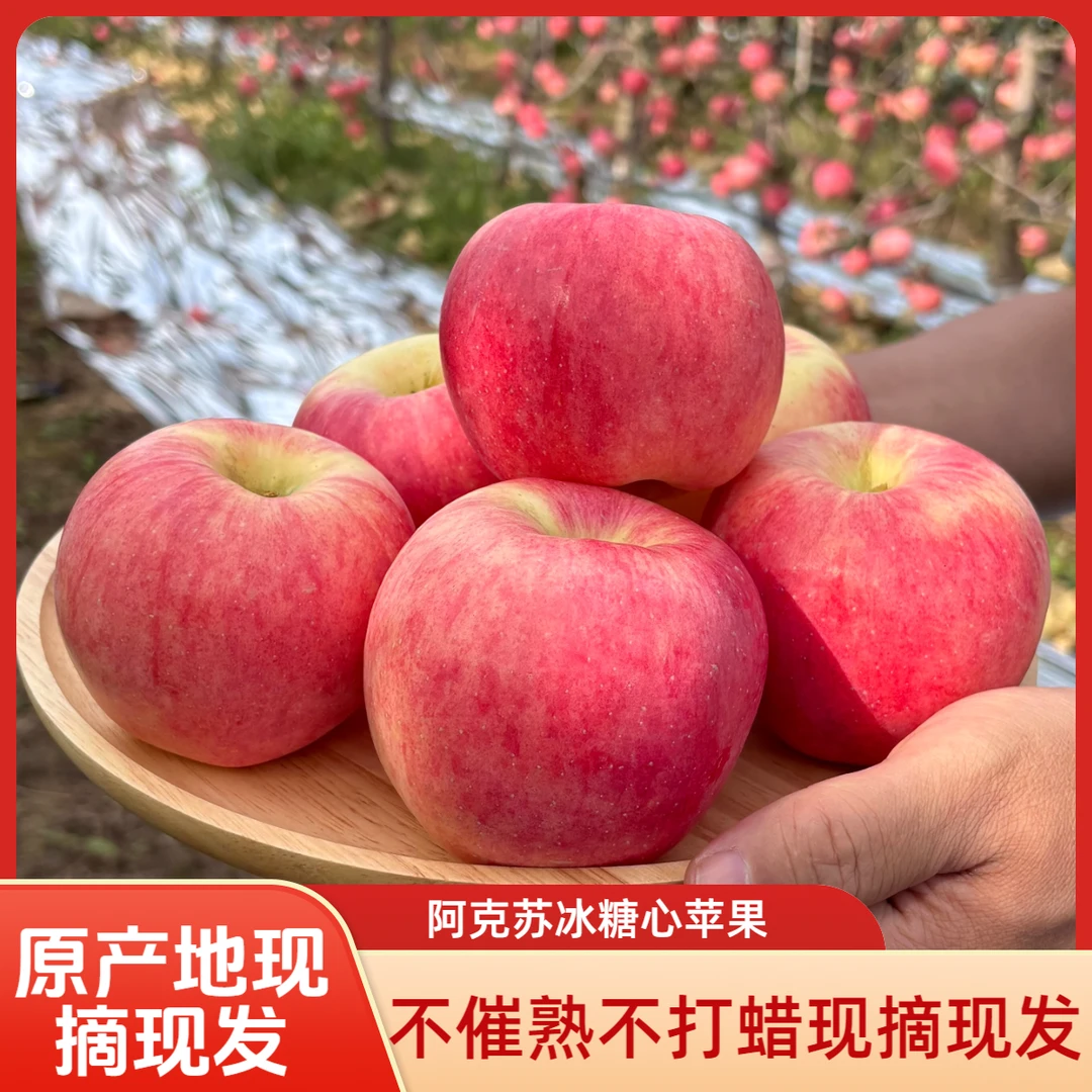 【坏果包赔】25年正宗新疆阿克苏冰糖心苹果脆甜多汁苹果新鲜水果