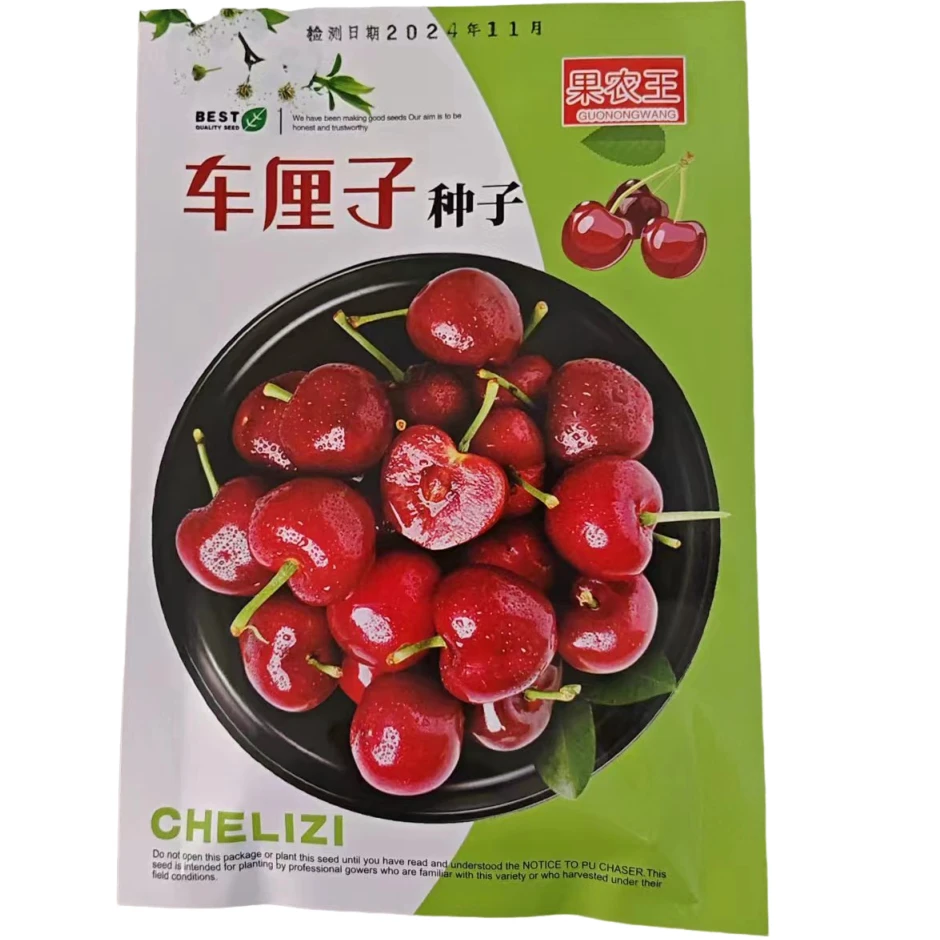 车厘子种子樱桃种子果树种子车厘子种子大樱桃南北均秋冬播种育苗