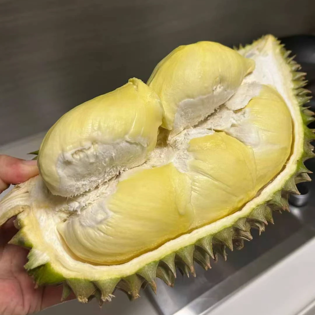 【一物一拍】招财鸟树熟 泰国金枕  完美果型一级果