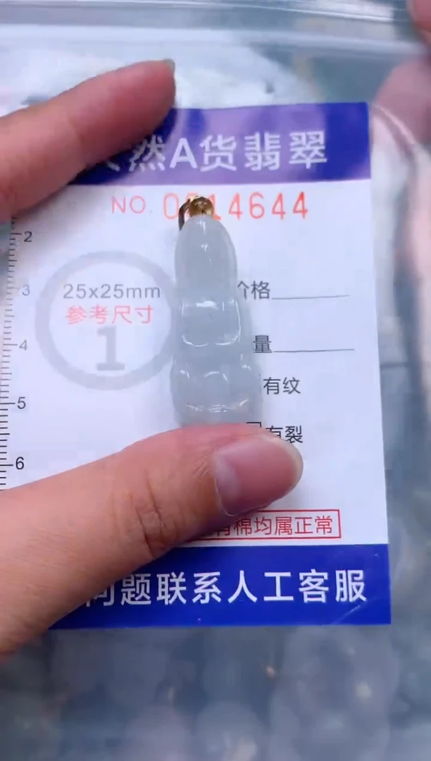 吊坠(赠链)未镶嵌翡翠1