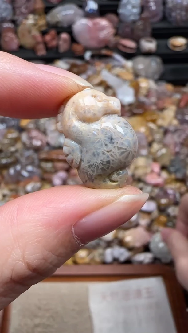 颈饰未镶嵌硅化珊瑚（珊瑚玉）775