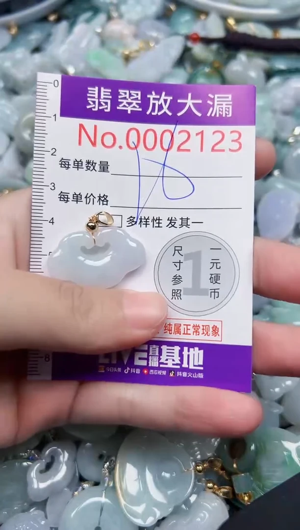 颈饰未镶嵌翡翠2123