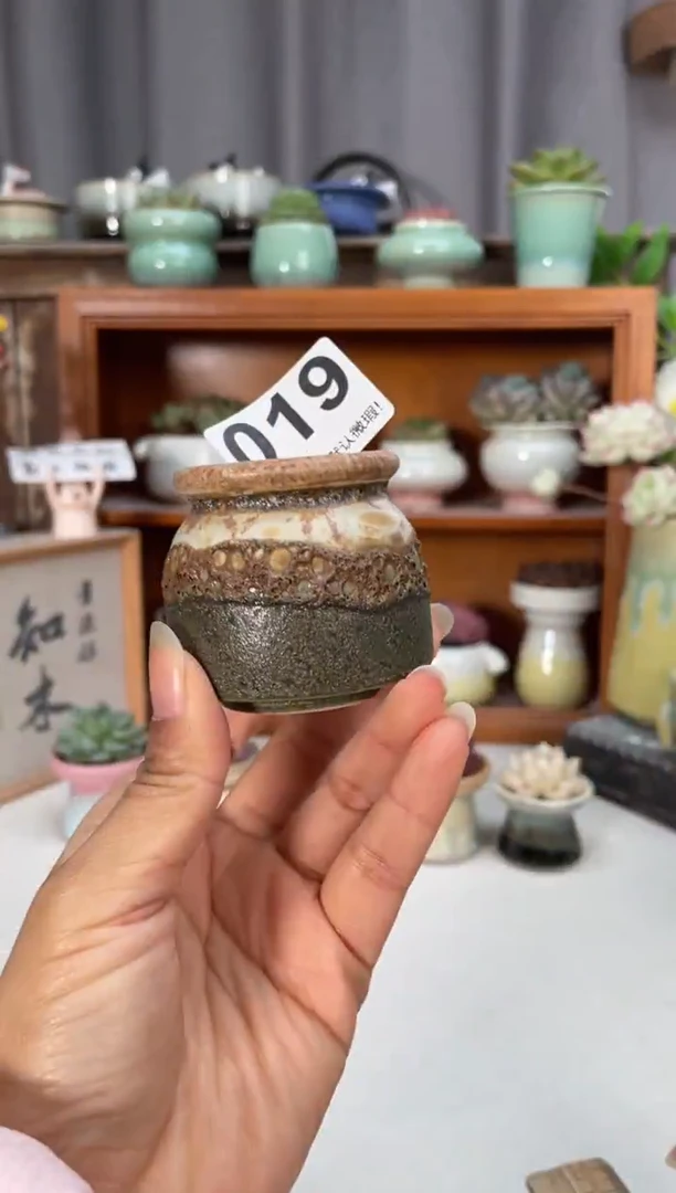 瓷片019知木小芳花盆