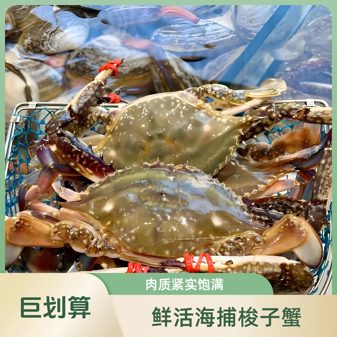 【港威海鲜】2两左右-飞蟹--3斤 适合辣炒