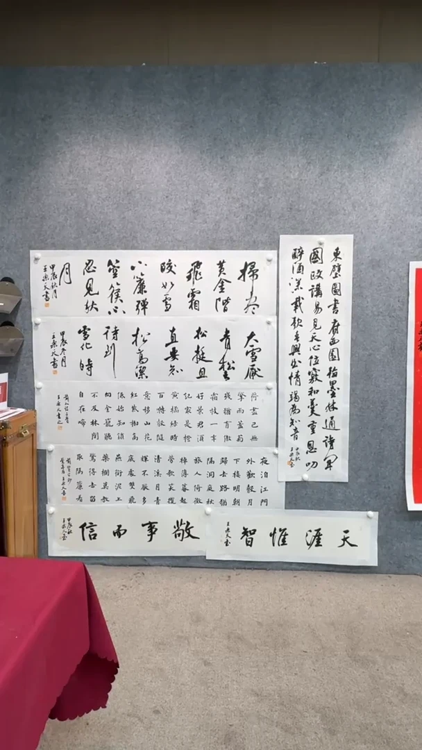 【闪购商品】书法pmw不二轩旗舰店书法WLT19