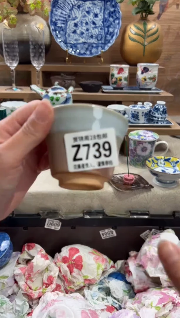瓷片?****️      Z739