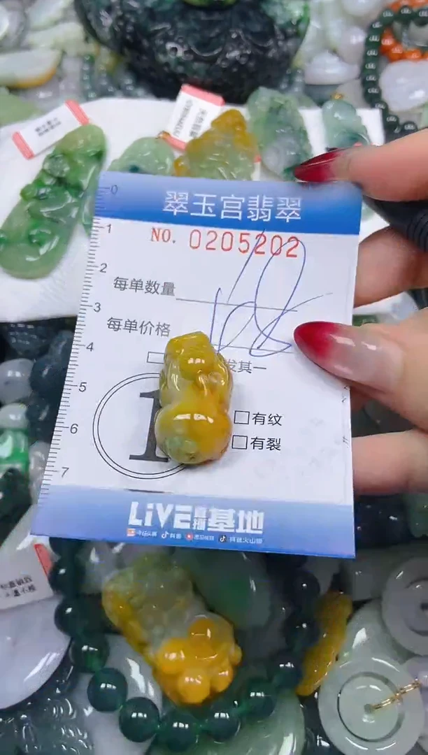 颈饰未镶嵌翡翠闪购C0205202