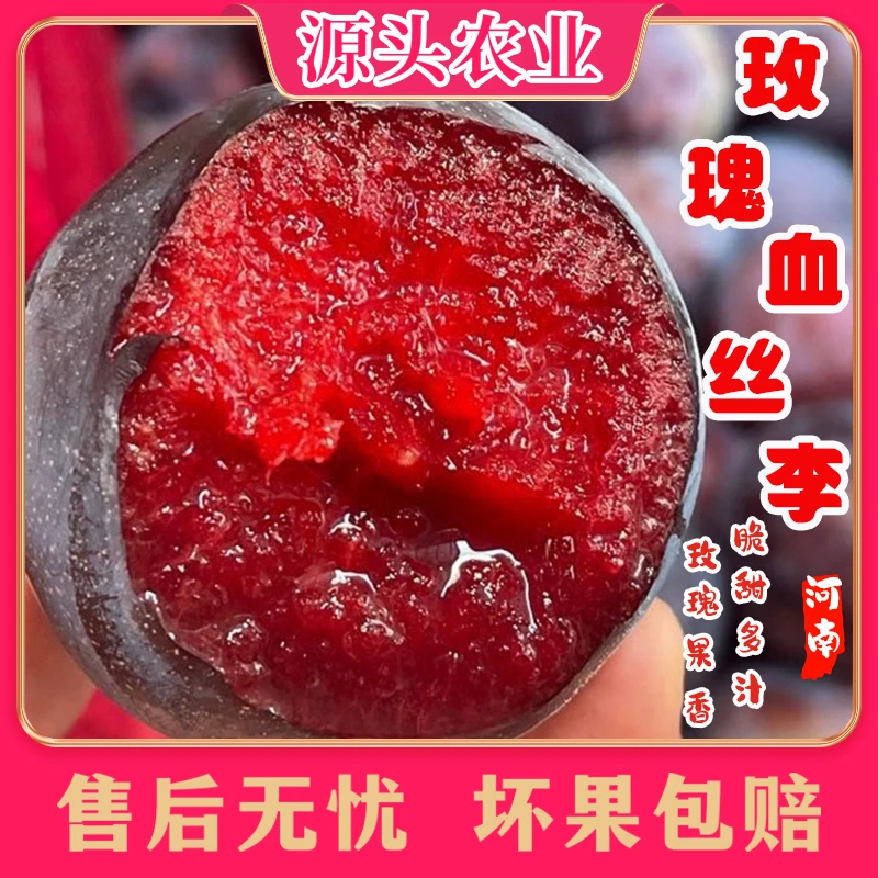 【玫瑰李】河南血丝李子新鲜应季水果放软后食用 3斤 S