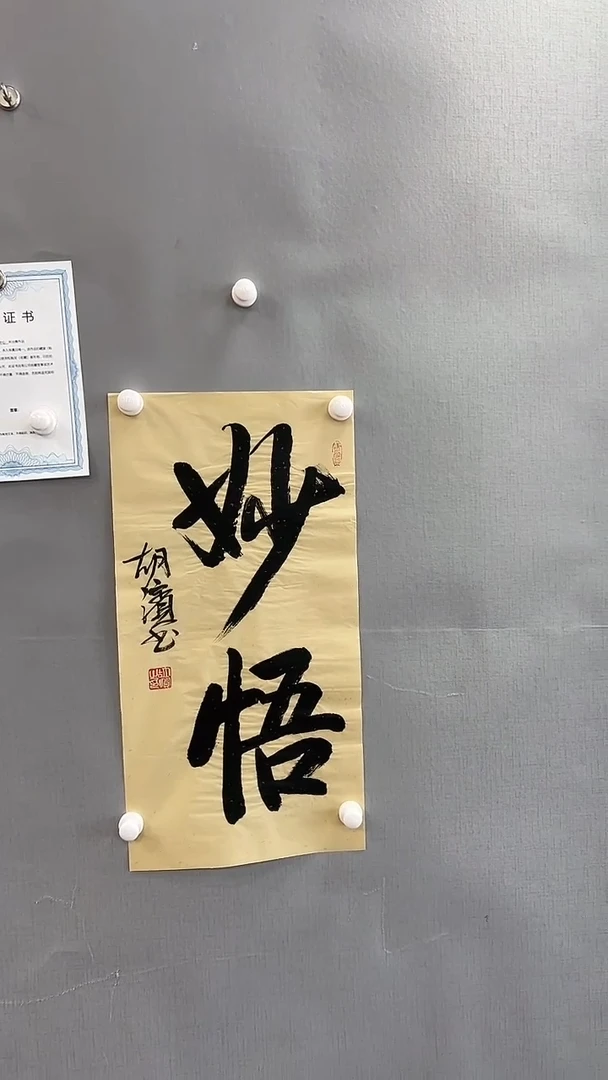 【闪购商品】书法雅艺典藏文化书法