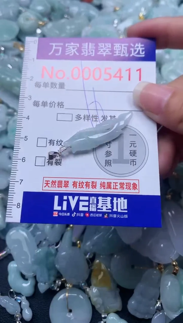 颈饰未镶嵌翡翠5411