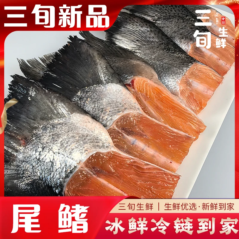 【尾鳍单品】冰鲜帝王鲑&法罗尾鳍，一斤装，冰鲜冷链，新鲜到家。