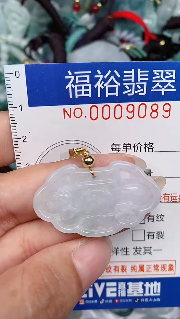 翡翠未镶嵌颈饰...0009089