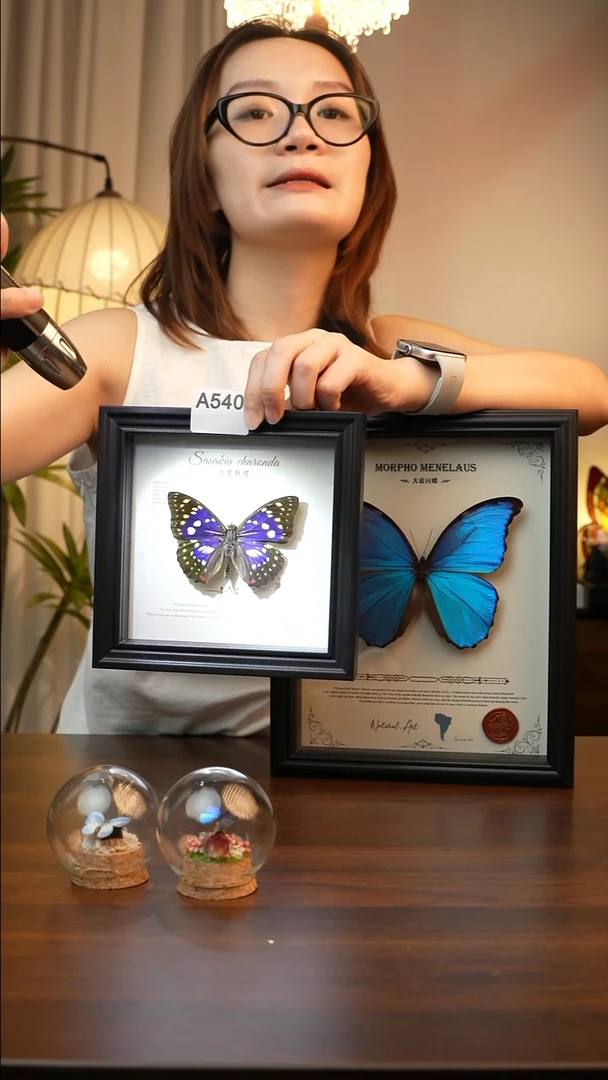 大紫蛱蝶（6寸方黑色新款框）A540