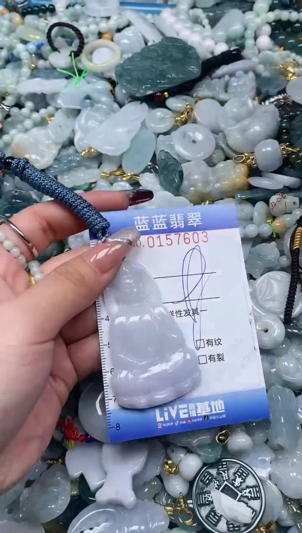 【闪购商品】翡翠颈饰未镶嵌闪购0157603