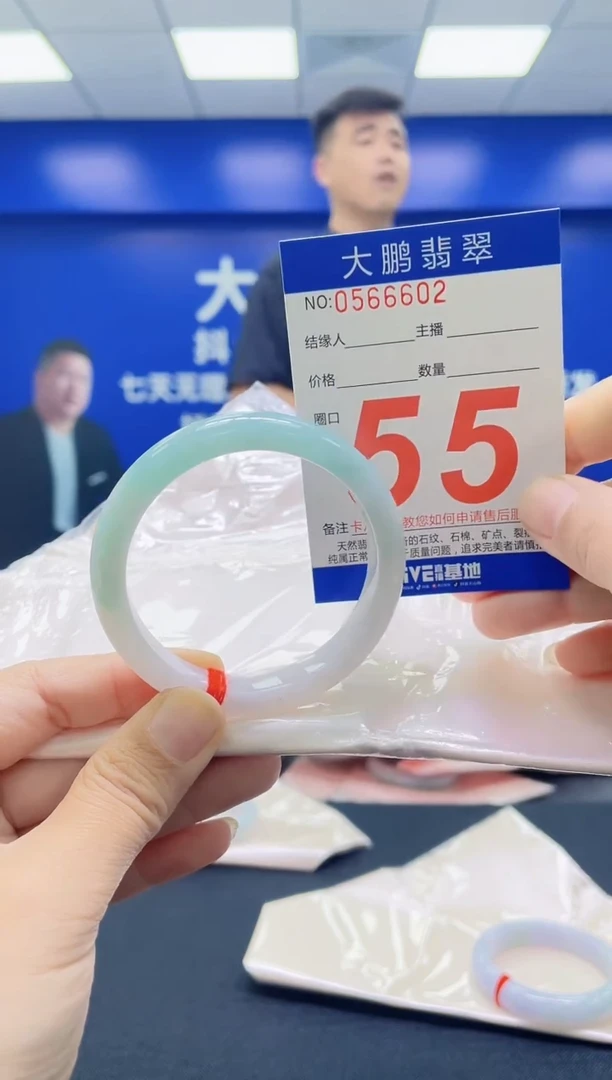 未镶嵌手镯翡翠AAAAAAAAA