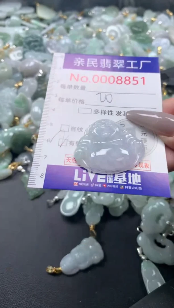 颈饰未镶嵌翡翠8851