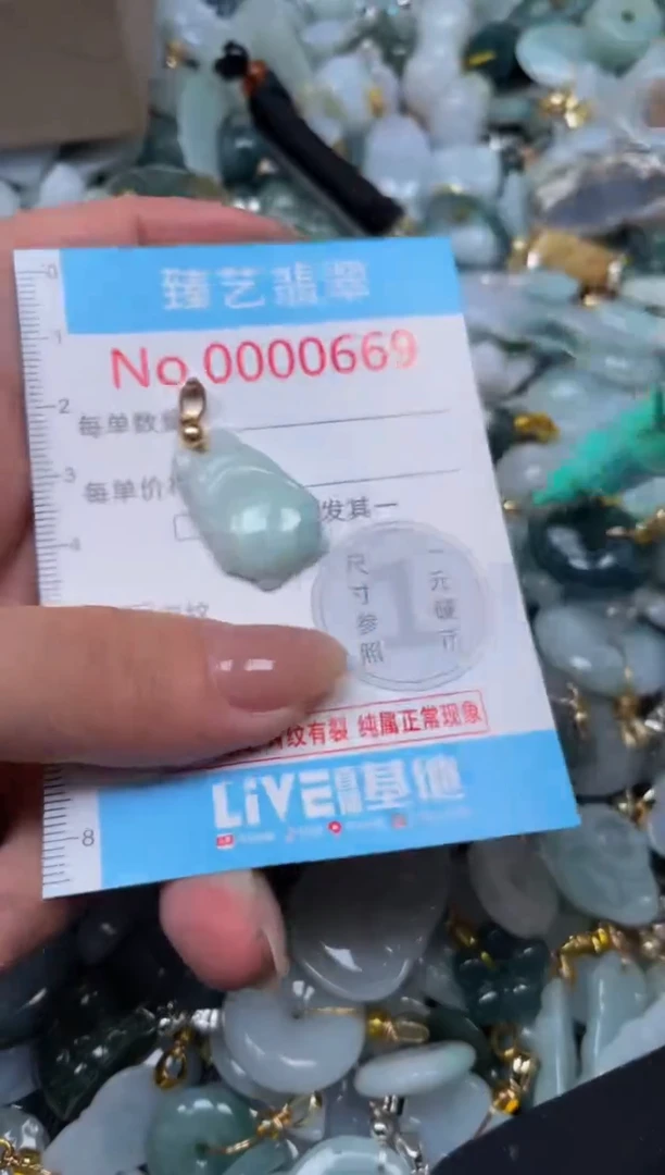 颈饰未镶嵌翡翠669