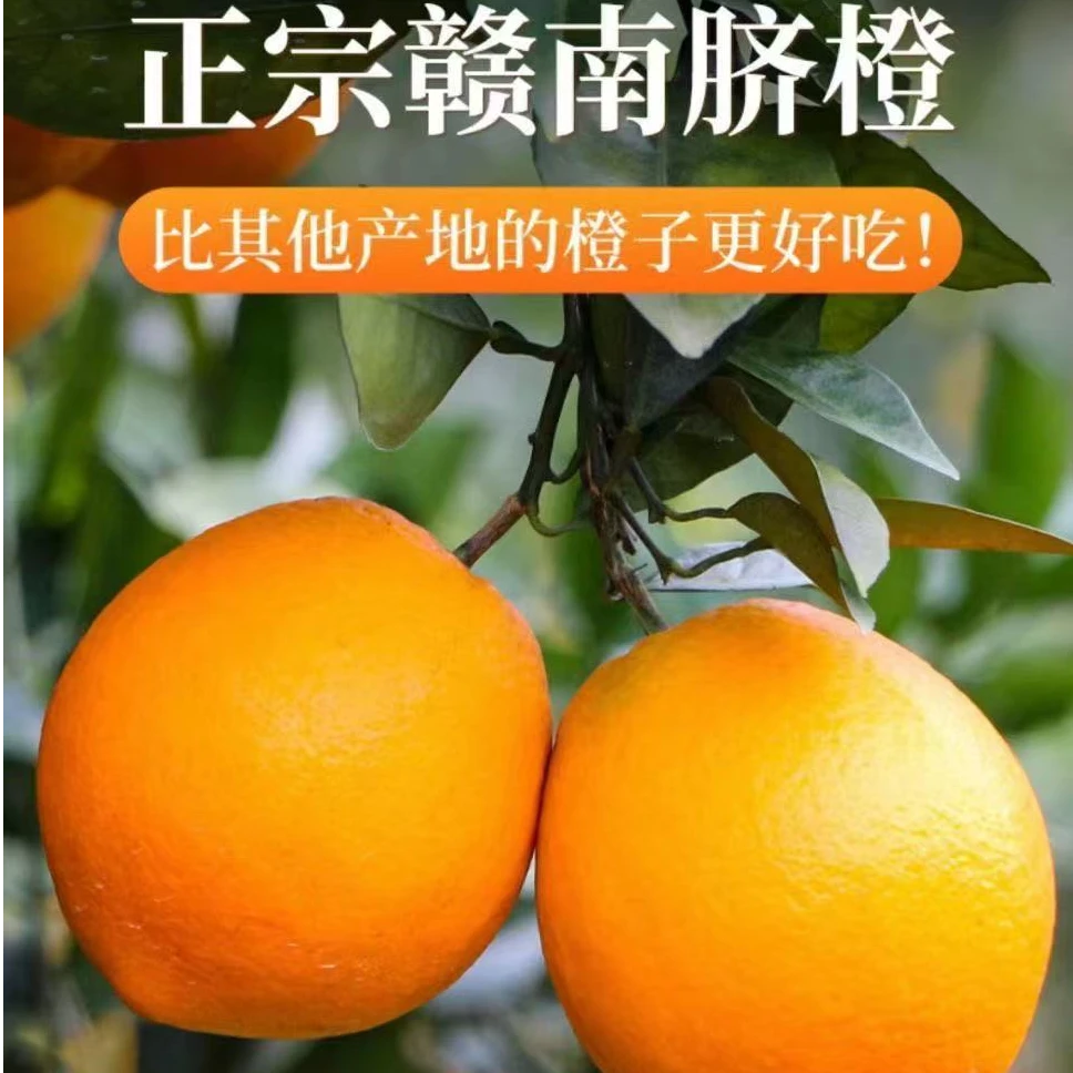 正宗江西赣南脐橙生态果花皮果新鲜现摘现发皮薄绿色孕妇水果