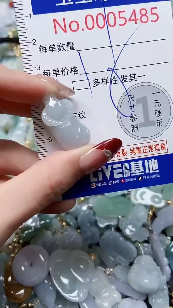 【闪购商品】翡翠颈饰未镶嵌闪购00005485多样性发其一